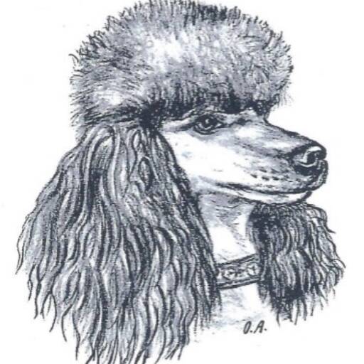 Pudelclub beider Basel